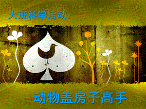 大班科学《动物盖房子高手》PPT课件教案科学：动物盖房子高手.ppt