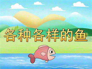 大班科学《各种各样的鱼》PPT课件教案PPT课件.ppt