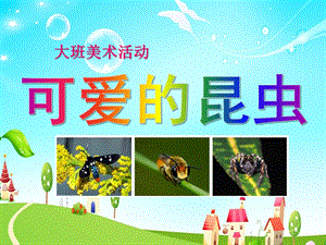 大班美术活动《可爱的昆虫》PPT课件ppt课件.ppt