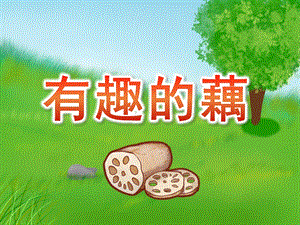 大班科学《有趣的藕》PPT课件教案大班科学课件《有趣的藕》PPT课件.ppt