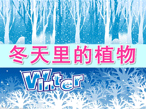 大班科学《冬天里的植物》PPT课件教案PPT课件.ppt