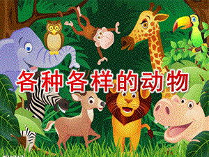 幼儿园《各种各样的动物》PPT课件各种各样的动物.ppt