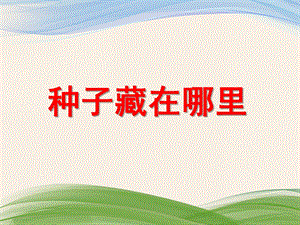 大班科学《种子藏在哪里》PPT课件教案PPT课件.ppt