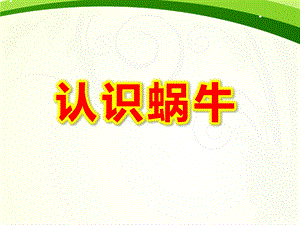 小班认识蜗牛PPT课件教案图片《蜗牛》PPT课件.ppt
