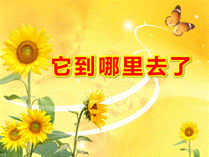 大班科学《它到哪里去了》PPT课件教案大班课件---它到哪里去了.ppt