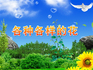 幼儿园《各种各样的花》PPT课件教案《各种各样的花》.ppt