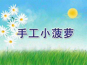 大班手工《手工小菠萝》PPT课件教案微课件.ppt