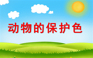 大班科学《动物的保护色》PPT课件教案动物的保护色.ppt
