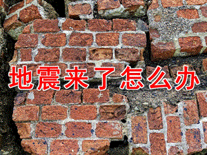 中班安全《地震来了怎么办》PPT课件教案音效视频PPT课件.ppt