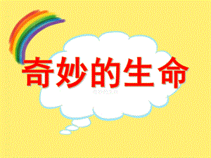 大班科学活动《奇妙的生命》PPT课件教案视频PPT课件.ppt
