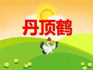 幼儿园动物儿歌《丹顶鹤》PPT课件音频PPT课件.ppt