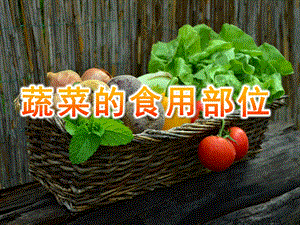大班健康《蔬菜的食用部位》PPT课件教案PPT课件.ppt