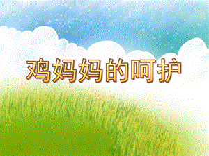 幼儿园母亲节课件《鸡妈妈的呵护》PPT课件教案.ppt
