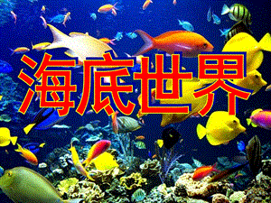 大班美术活动《美丽的鱼》PPT课件教案大班线条画美丽的鱼.ppt