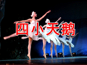 幼儿园音乐《四小天鹅》PPT课件教案天鹅.ppt