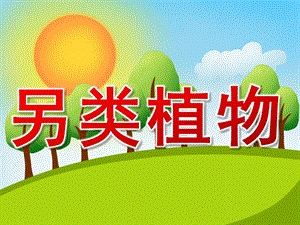 大班科学《另类植物》PPT课件教案PPT课件.ppt