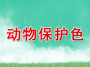 幼儿园说课《动物保护色》PPT课件幼儿园说课《动物保护色》PPT课件.ppt