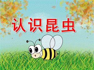 小班科学《认识昆虫》PPT课件教案PPT课件.ppt