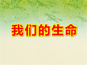 大班健康《我们的生命》PPT课件教案《我们的生命》PPT课件.ppt
