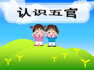 小班《五官很重要》PPT课件教案幼儿课件-认识五官(五官很重要.ppt