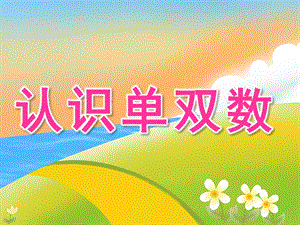 大班数学公开课《认识单双数》PPT课件教案PPT课件.ppt