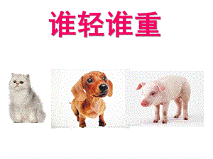 大班数学公开课《谁轻谁重》PPT课件教案大班数学《谁轻谁重》.ppt