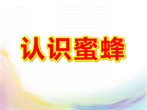 大班科学课件《认识蜜蜂》PPT课件教案认识蜜蜂课件.ppt