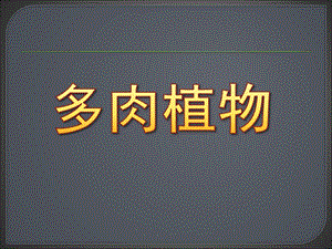 大班科学《多肉植物》PPT课件多肉植物(幼儿园.ppt