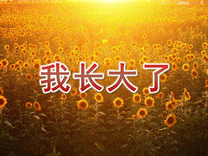 大班综合活动《我长大了》PPT课件教案.ppt