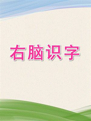 小班《右脑识字》PPT课件小班右脑识字.ppt