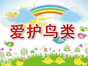 中班综合《爱护鸟类》PPT课件教案ppt.ppt
