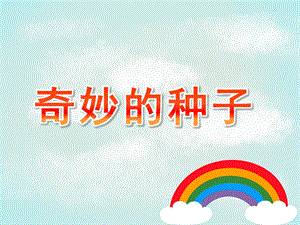 大班科学活动《奇妙的种子》PPT课件教案ppt课件.ppt