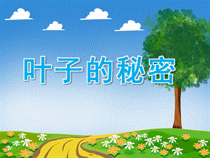小班主题《叶子的秘密》PPT课件教案PPT课件.ppt