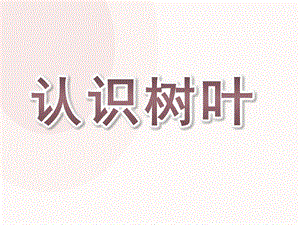 小班数学《水果接龙》PPT课件教案小班数学-水果接龙.ppt