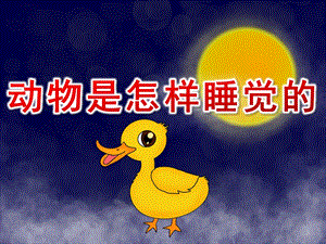 大班助教活动《动物是怎样睡觉的》PPT课件教案PPT课件.ppt