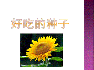 大班社会领域《好吃的种子》PPT课件教案好吃的种子.ppt