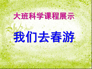 大班科学《我们去春游》PPT课件教案.ppt