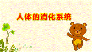 幼儿园人体的消化系统PPT课件教案大班健康《食物旅行记》微课件.ppt