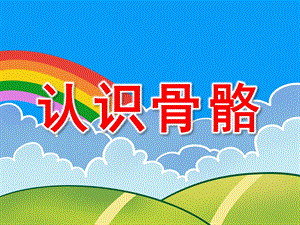 大班《认识骨骼》PPT课件教案认识骨骼.ppt