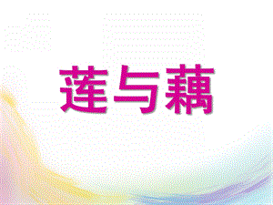 大班科学《莲与藕》PPT课件教案莲与藕.ppt