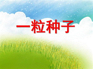 大班语言《一粒种子》PPT课件大班语言《一粒种子》PPT课件.ppt
