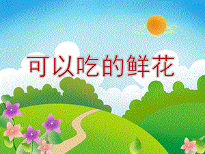 大班科学《可以吃的鲜花》PPT课件大班科学《可以吃的鲜花》PPT课件.ppt