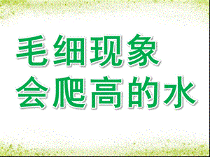 大班科学《毛细现象——会爬高的水》PPT课件教案毛细现象——会爬高的水.ppt