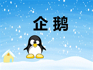 幼儿园动物儿歌《企鹅》PPT课件音频PPT课件.ppt