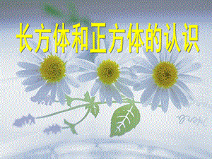 大班数学《长方体和正方体的认识》PPT课件大班数学《长方体和正方体的认识》PPT课件.ppt