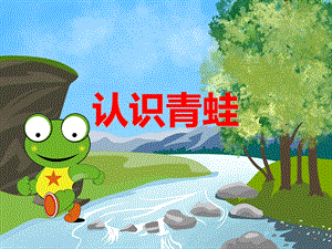 大班科学《认识青蛙》PPT课件教案PPT课件.ppt