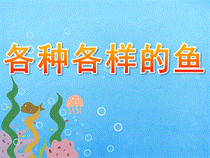 大班《各种各样的鱼》PPT课件教案PPT课件.ppt