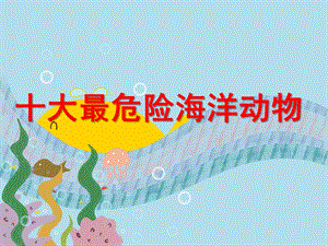 大班社会《十大最危险海洋动物》PPT课件十大最危险海洋动物.ppt