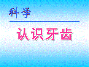 幼儿园科学《认识牙齿》PPT课件认识牙齿PPT课件.ppt