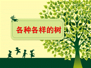 幼儿园《各种各样的树》PPT课件教案各种各样的树.ppt